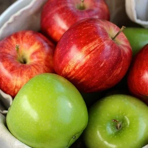 Món ăn ngon nhất